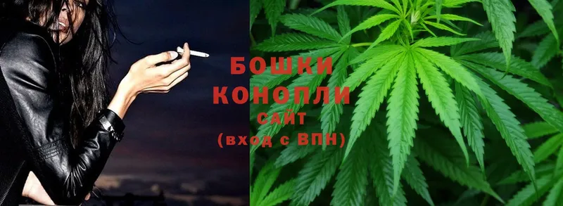 Бошки марихуана OG Kush  Дербент 